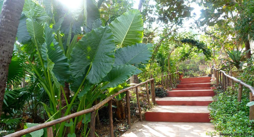 פטנם Secret Garden Resort מראה חיצוני תמונה